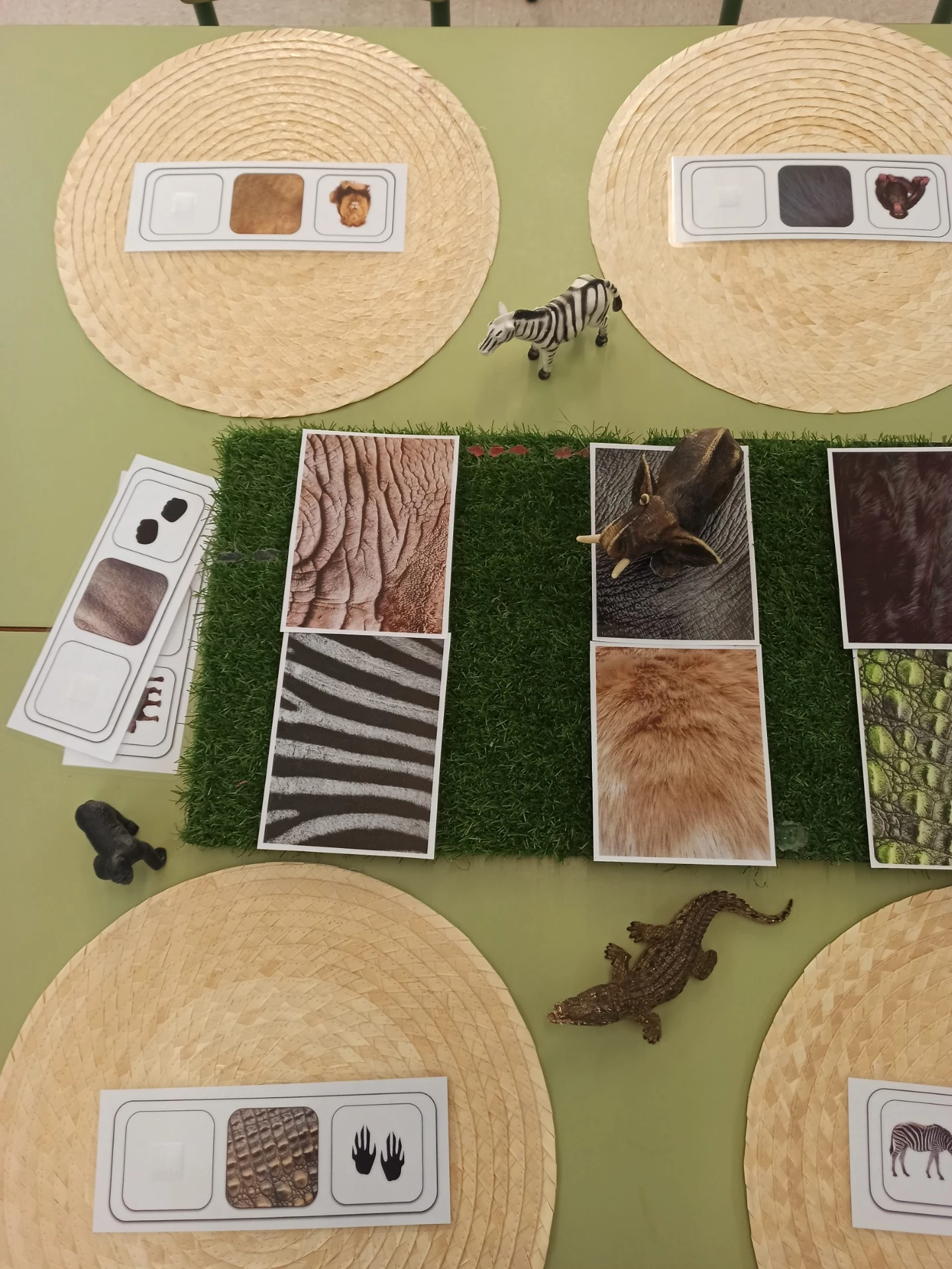 Material didàctic — seriacions i memory